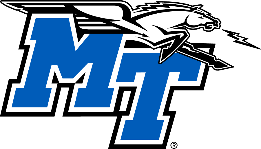 Middle Tennessee Blue Raiders 2019-Pres Primary Logo DIY iron on transfer (heat transfer)